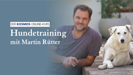 Product image for Hundetraining mit Martin Rütter
