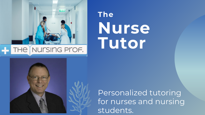 Product image for The Nurse Tutor