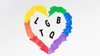 Product image for  LGBTQI+, MENTAL HEALTH, DISABILITY AND AGED CARE