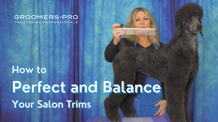 Product image for How to Balance and Perfect Your Salon Trims