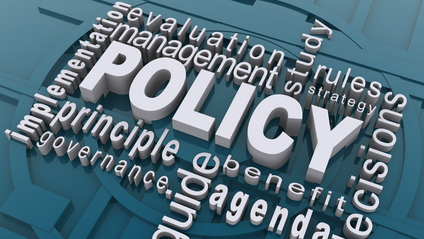 Product image for INSTITUTE OF PUBLIC POLICY AND HUMAN RIGHTS