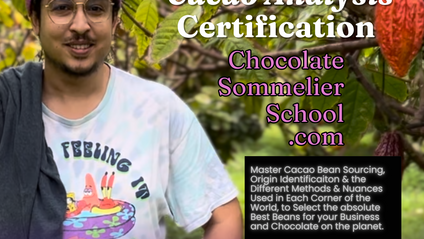 Product image for Professional Cacao Bean Sourcing and Analysis