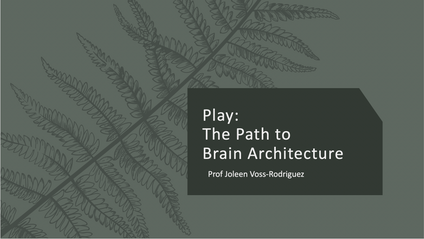 Product image for Play: The Path to Brain Architecture