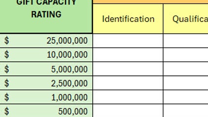 Product image for Portfolio Overview Worksheet - Aggregated by Stage and Capacity
