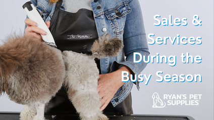 Product image for Sales & Services During the Busy Season