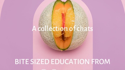 Product image for A collection of chats