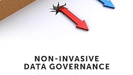 Product image for Non-Invasive Data Governance: The Path of Least Resistance and Greatest Success First Edition