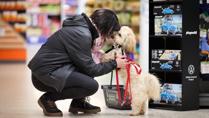 Product image for Ausbildung zum Assistenzhundetrainer Plus