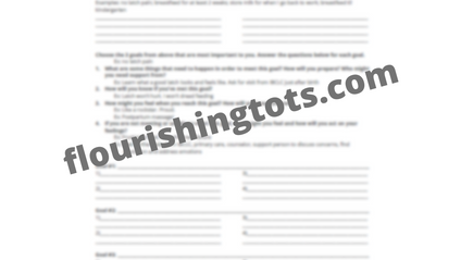 Product image for Roadmap to the 4th Trimester