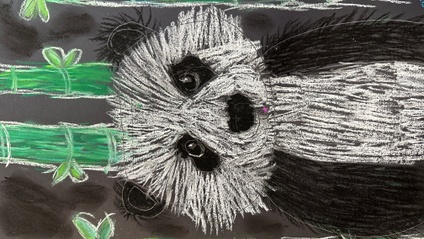 Product image for Panda ~ Chalk pastels on black