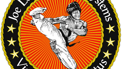 Product image for Joe Lewis Fighting Systems