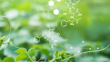 Product image for Curs de gemoterapie pentru medici și farmaciști - modul III
