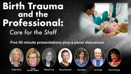 Product image for Birth Trauma and the Professional