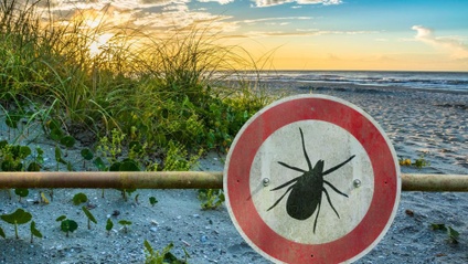 Product image for Managing Ixodes pacificus bites