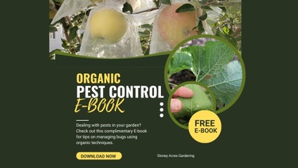 Product image for Organic Pest Management eBook