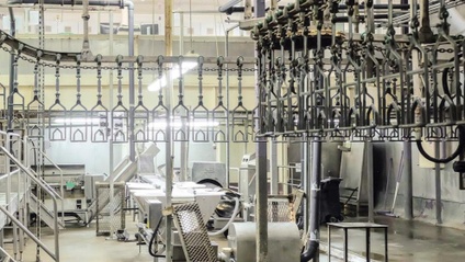 Product image for 2025 Broiler Processing Plant Training