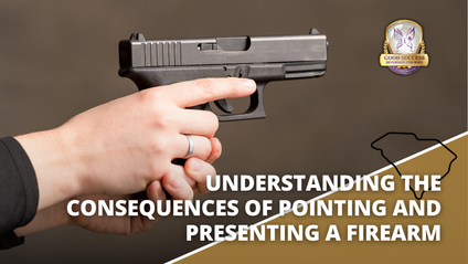 Product image for Understanding the Consequences of Pointing and Presenting a Firearm