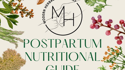 Product image for Postpartum Nourishment Guide