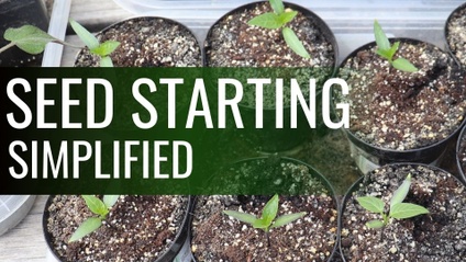 Product image for Seed Starting Simplified