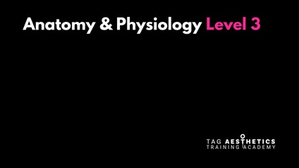 Product image for Anatomy And Physiology Level 3 - CPD accredited