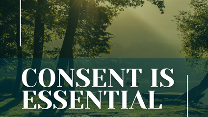 Product image for Foundations of Consent