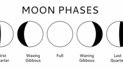 Product image for Diploma in Moonology and Lunar Living