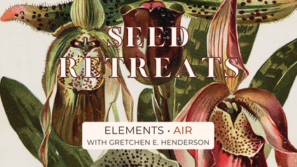 Product image for Seed Retreat: Air