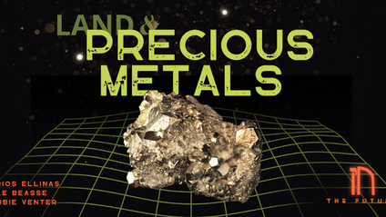 Product image for IN The Future - Land & Precious Metals