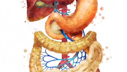 Product image for Gastroenterology: Advanced Specialty Study of Digestive Disorders