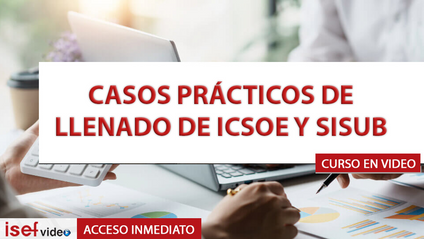 Product image for CASOS PRÁCTICOS DE LLENADO DE ICSOE Y SISUB