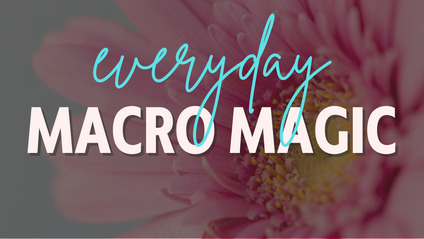 Product image for Everyday Macro Magic