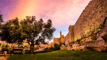 Product image for Biblical Foundations