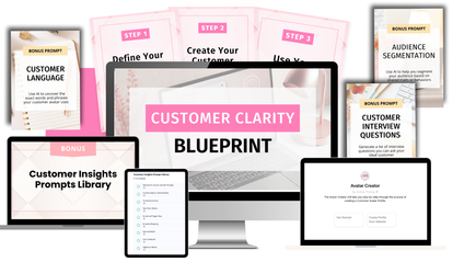Product image for Customer Clarity Blueprint