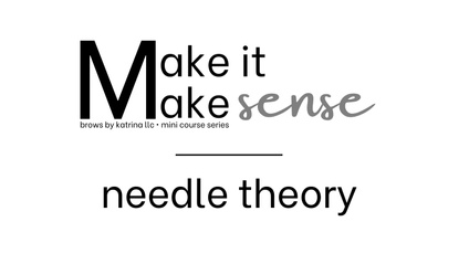 Product image for Needle Theory