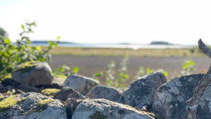 Product image for 5. Frihet att vara du