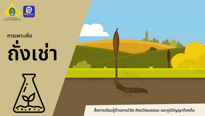 Product image for การเพาะเห็ดถั่งเช่า