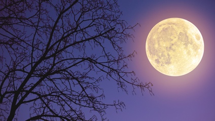 Product image for Samhain and Yoga 7-Day Challenge 2025