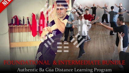 Product image for Chinese Kung Fu Fitness