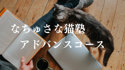 Product image for なちゅさな猫塾・アドバンスコース：1期生