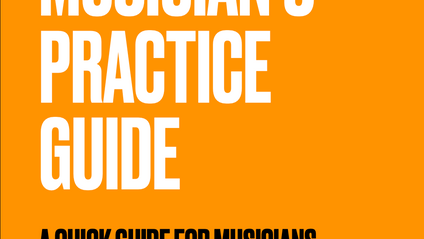 Product image for The Musician's Practice Guide: 