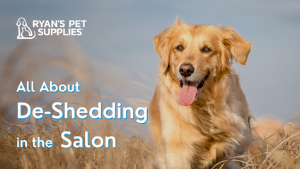 Product image for All About De-Shedding in the Salon
