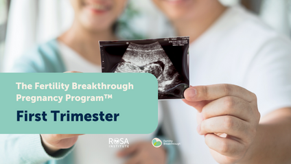 Product image for Fertility Breakthrough™ Pregnancy Program - First Trimester