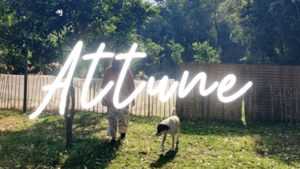 Product image for ATTUNE 1:1 Container
