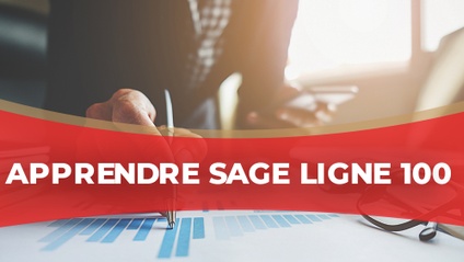 Product image for IGTC01CF - Apprendre Sage Ligne 100 (FR)