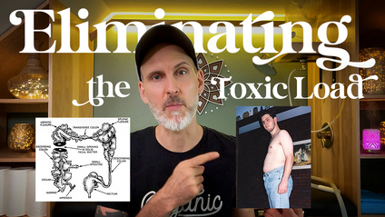 Product image for Eliminating the Toxic Load with Michael Perrine