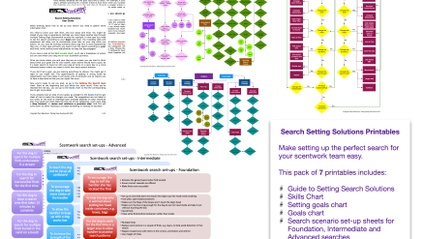 Product image for Search Setting Solutions Printables