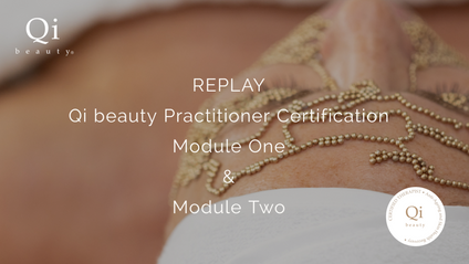 Product image for Replay Qi beauty Module One - With Tutorials 