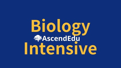 Product image for Y12 A-level 生物精讀課程 Biology Intensive Program