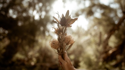 Product image for Wild Flower cards