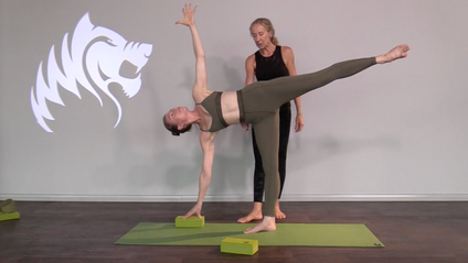 Product image for POSTURE CLINICS 1-10 ONLY FOR FIERCE GRACE 200 HR YOGA TEACHER TRAINING